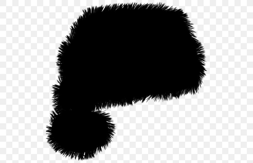 Black & White, PNG, 537x529px, Black White M, Black M, Fur, Snout, Tail Download Free