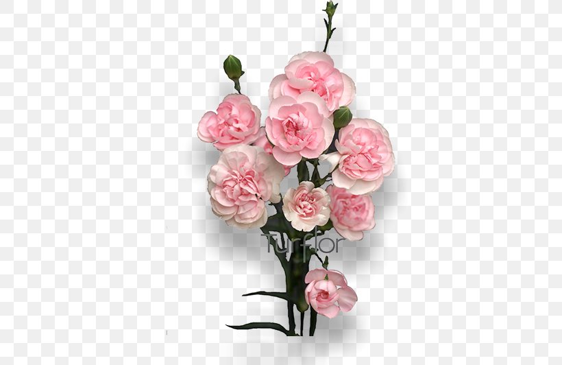 Cut Flowers Turflor Floral Design Garden Roses, PNG, 652x532px, Flower, Artificial Flower, Blossom, Carnation, Centifolia Roses Download Free