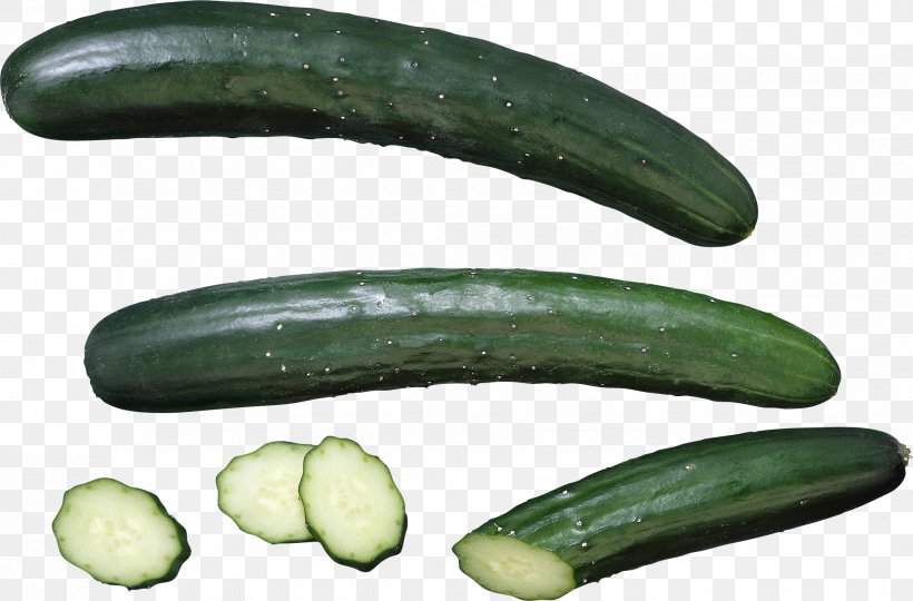 Pickled Cucumber Vegetable Seed Food, PNG, 2062x1359px, Cucumber, Celery, Cucumber Gourd And Melon Family, Cucumis, Food Download Free