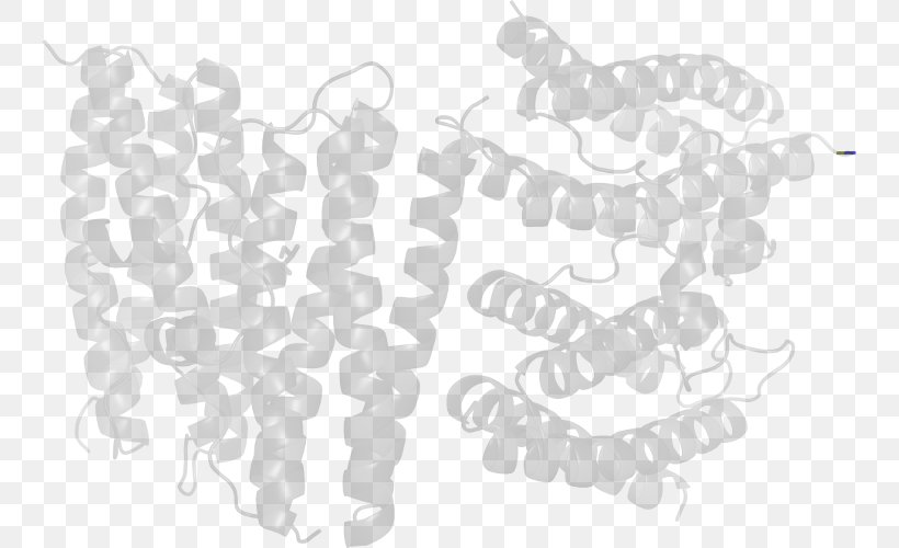 White Font, PNG, 742x500px, White, Animal, Black And White, Monochrome, Organism Download Free