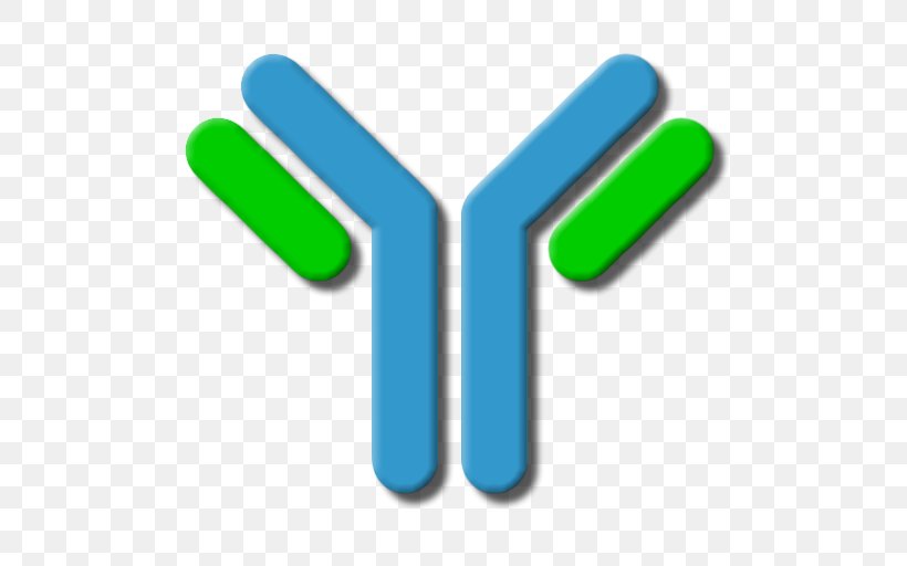 Antibody Hybridoma Technology Lymphocyte B Cell White Blood Cell, PNG, 512x512px, Antibody, B Cell, Blood, Body, Cornell Notes Download Free