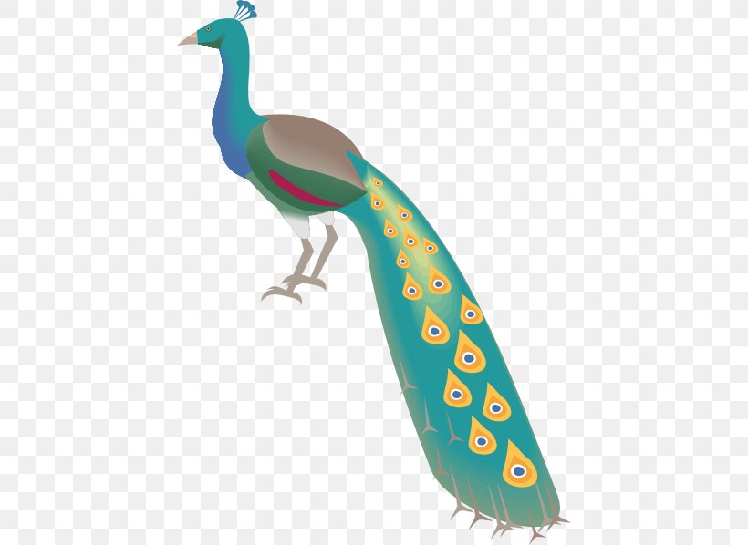 Indian Peafowl Clip Art Bird Feather, PNG, 432x598px, Peafowl, Beak, Bird, Curtain, Drawing Download Free