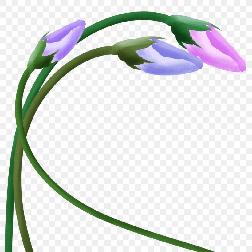 Japanese Morning Glory Flower Clip Art Illustration, PNG, 1000x1000px, Japanese Morning Glory, Cut Flowers, Floral Design, Flower, Flowering Plant Download Free