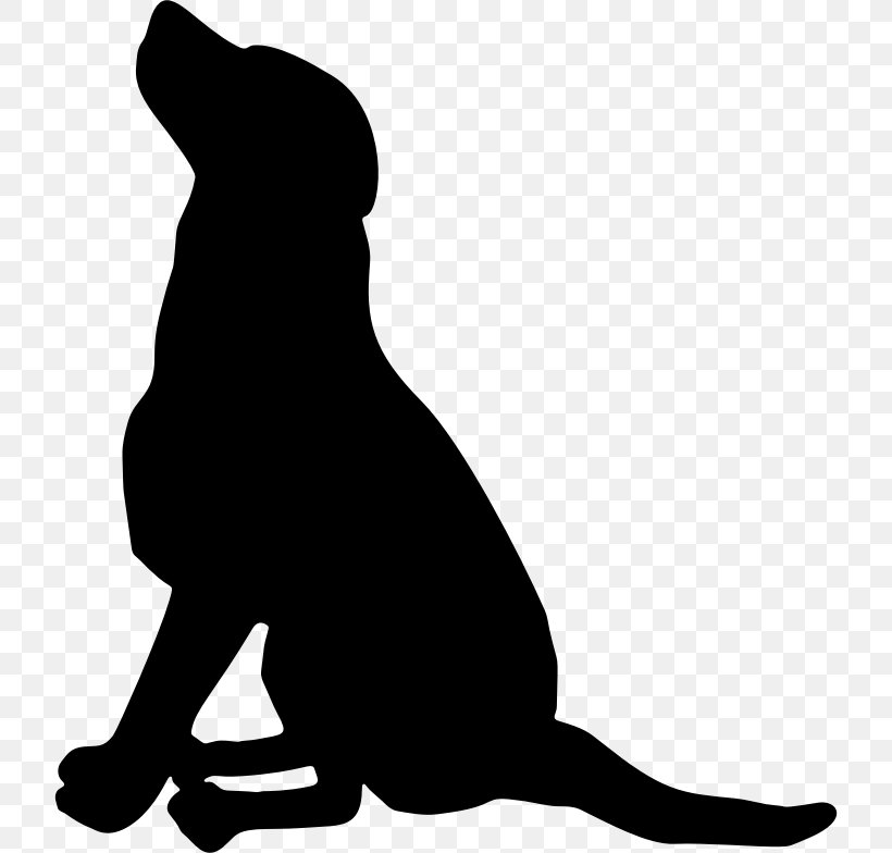 Labrador Retriever Pet Sitting Scotch Collie Greyhound Clip Art, PNG, 720x784px, Labrador Retriever, Black, Black And White, Carnivoran, Cat Download Free