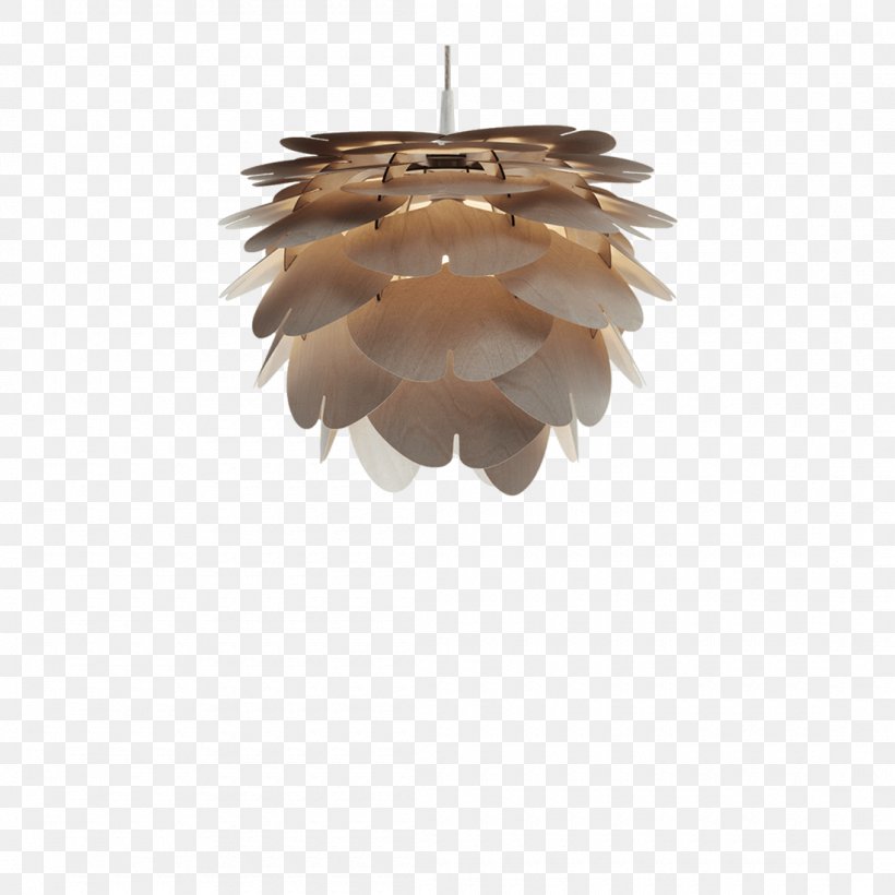 Pendant Light Lamp Charms & Pendants Lighting Chandelier, PNG, 1100x1100px, Pendant Light, Canopy, Ceiling, Ceiling Fixture, Chandelier Download Free