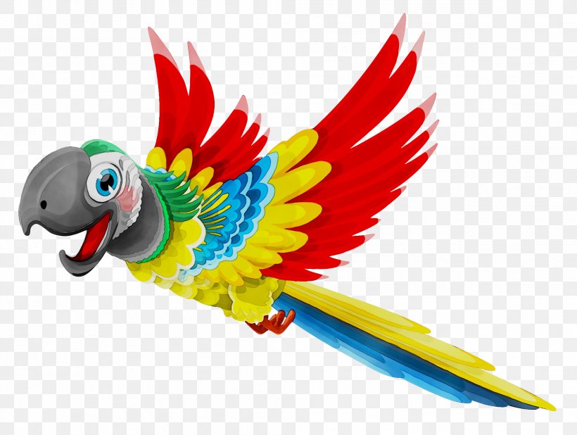Wedding Invitation Greeting & Note Cards Birthday Gift Macaw, PNG, 2019x1524px, Wedding Invitation, Amazon Parrot, Animal Figure, Animation, Beak Download Free