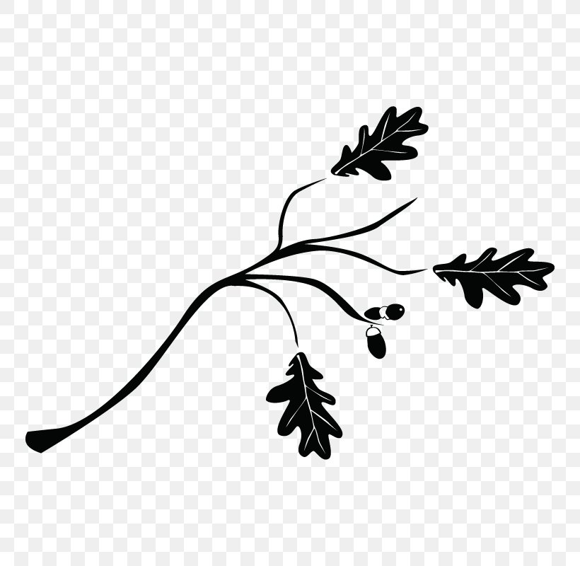 Branch Tree Leaf Drawing Twig, PNG, 800x800px, Branch, Black And White, Drawing, Flora, Flower Download Free