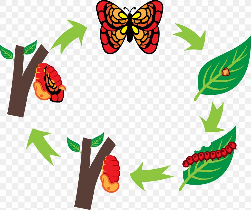 Butterfly Silkworm Caterpillar Clip Art, PNG, 4195x3516px, Watercolor, Cartoon, Flower, Frame, Heart Download Free
