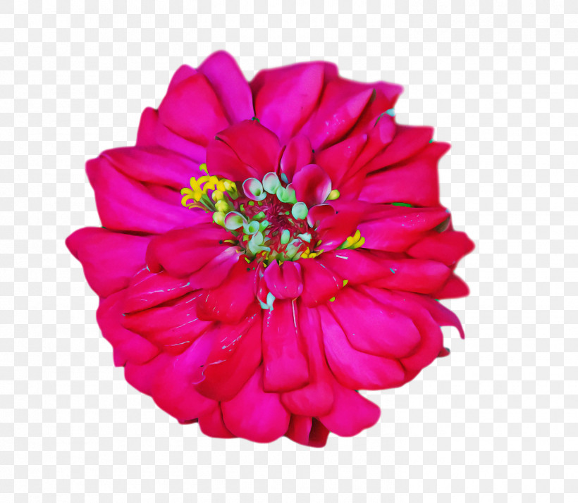 Floral Design, PNG, 1470x1280px, Petal, Artificial Flower, Chrysanthemum, Cut Flowers, Dahlia Download Free