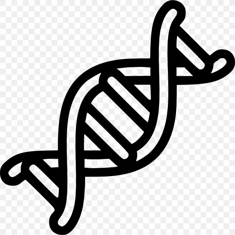 Nucleic Acid Double Helix DNA Genetics RNA, PNG, 980x982px, Nucleic Acid Double Helix, Area, Artwork, Black And White, Cdr Download Free