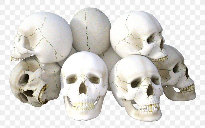 Skull Icon, PNG, 1650x1028px, Skull, Bone, Digital Image, Head, Human Skeleton Download Free