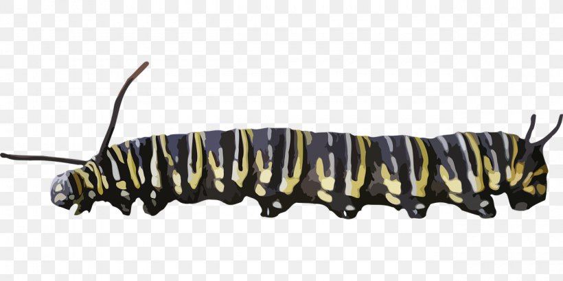 The Very Hungry Caterpillar Caterpillar Inc. Insect, PNG, 1280x640px, Caterpillar, Animal, Arthropod, Caterpillar Inc, Drawing Download Free