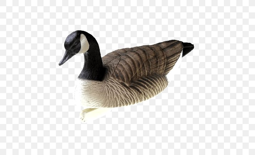 Canada Goose Duck Decoy, PNG, 500x500px, Goose, Anseriformes, Beak, Bird, Branta Download Free