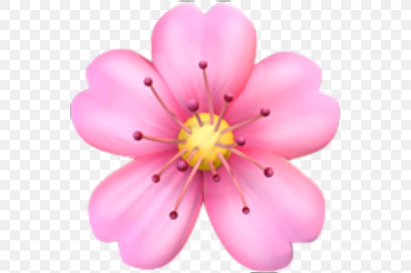 Emojipedia Flower Emoji Domain, PNG, 539x545px, Emoji, Apple Color Emoji, Blossom, Cherry Blossom, Emoji Domain Download Free