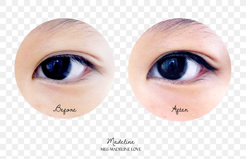 Eyelash Extensions Eye Liner Eye Shadow Eyebrow, PNG, 800x530px, Watercolor, Cartoon, Flower, Frame, Heart Download Free