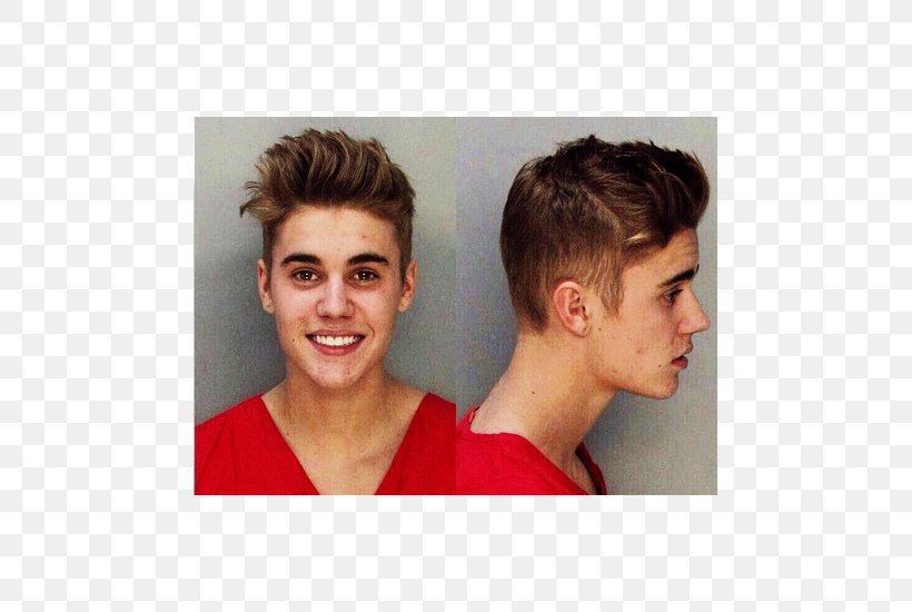 Justin Bieber Mug Shot Arrest Jeremy Meeks Celebrity, PNG, 500x550px, Watercolor, Cartoon, Flower, Frame, Heart Download Free