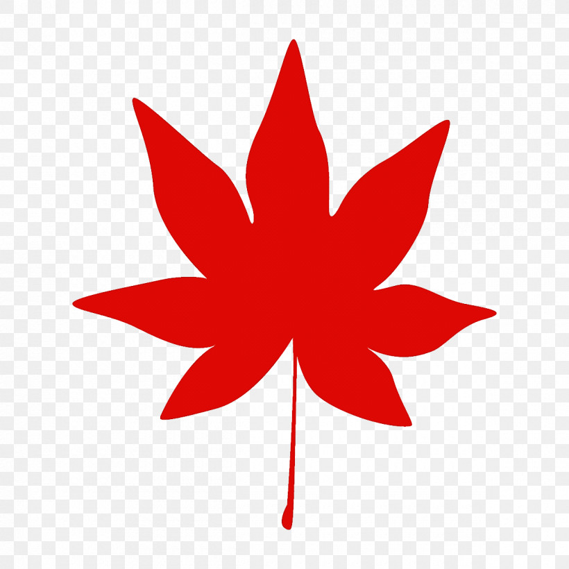 Maple Leaf Autumn Leaf Fall Leaf, PNG, 1200x1200px, Maple Leaf, Autumn Leaf, Fall Leaf, Leaf, Logo Download Free