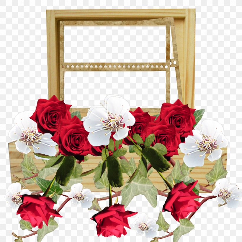 Picture Frames Rose Cut Flowers Photography, PNG, 1200x1200px, Picture Frames, Artificial Flower, Centrepiece, Cut Flowers, Digital Photo Frame Download Free