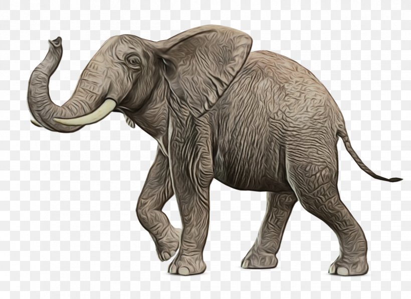 African Bush Elephant Transparency Clip Art, PNG, 1209x880px, African Bush Elephant, African Elephant, African Forest Elephant, Animal Figure, Art Download Free
