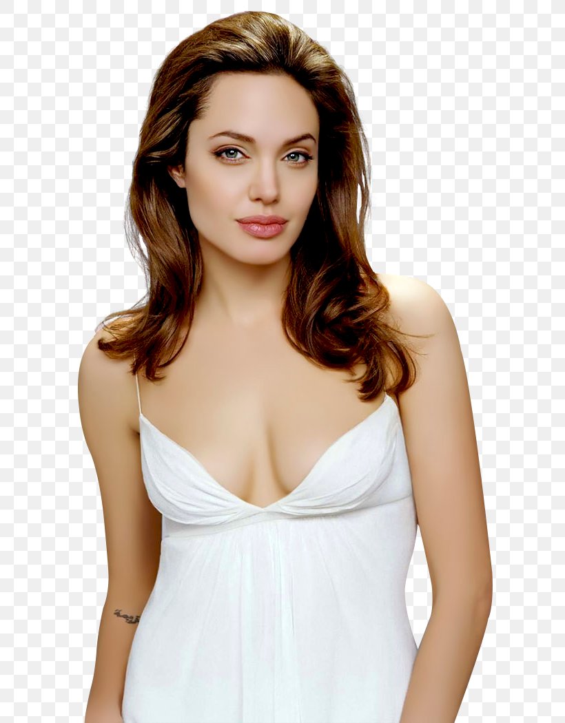 Angelina Jolie Hollywood Female Actor Model, PNG, 803x1050px, Watercolor, Cartoon, Flower, Frame, Heart Download Free