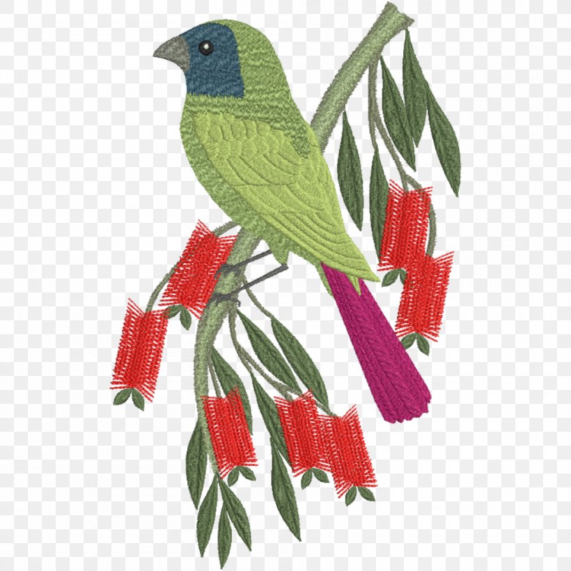 Bird Macaw Loriini Parrot, PNG, 1000x1000px, Bird, Beak, Cardinal, Common Pet Parakeet, Crimson Rosella Download Free