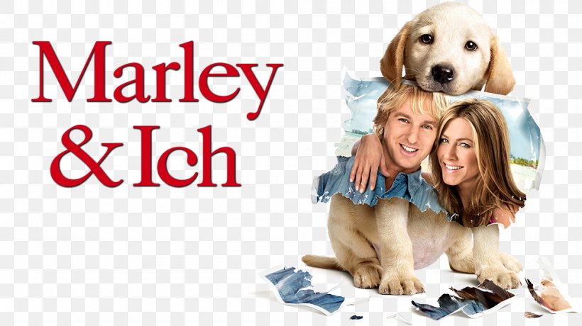 Film Poster Marley & Me 0 Film Director, PNG, 1000x562px, 2008, Film, Alan Arkin, Carnivoran, Comedydrama Download Free