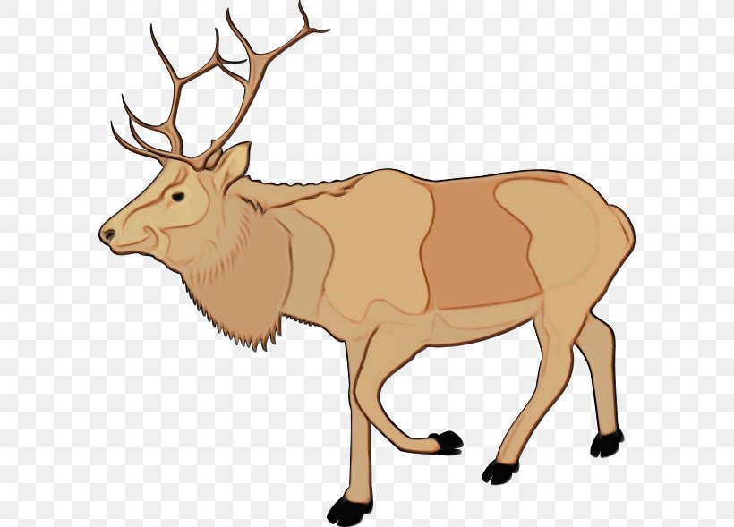 Reindeer, PNG, 600x589px, Watercolor, Antelope, Antler, Deer, Elk Download Free