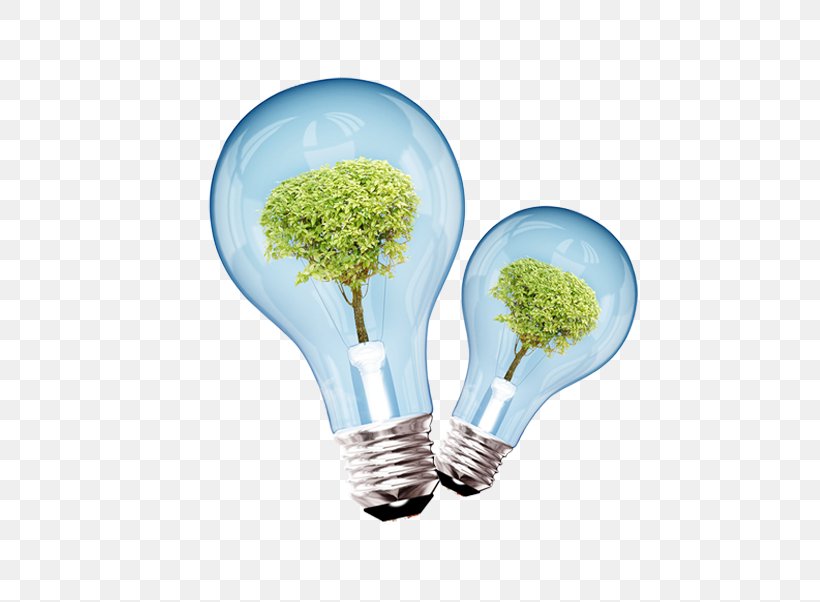 Light Energy Conservation Environmental Impact Assessment, PNG, 615x602px, Light, Compact Fluorescent Lamp, Conservation, Energy, Energy Conservation Download Free