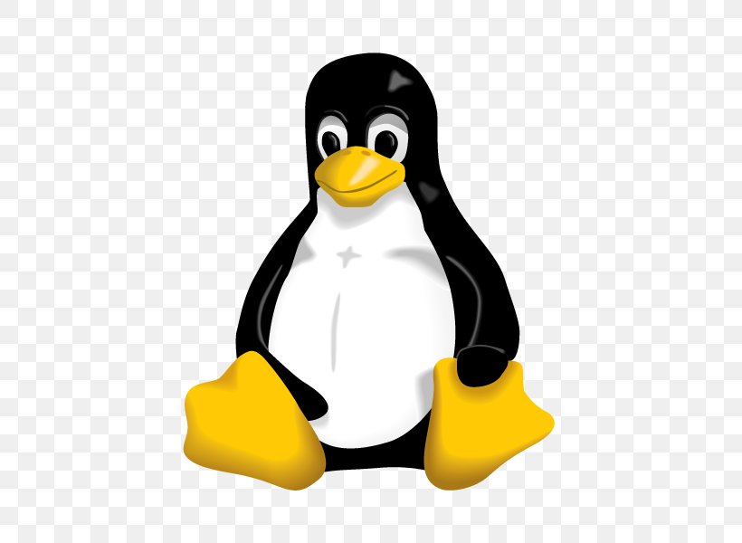 Linux Distribution Linux Kernel Tux, PNG, 800x600px, Linux, Android, Beak, Bird, Centos Download Free