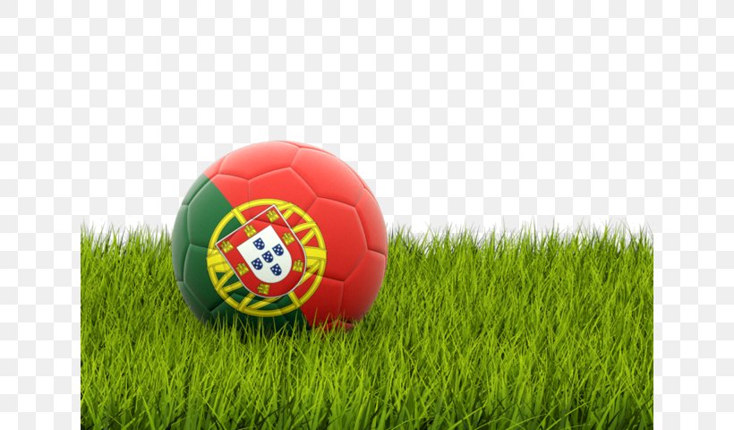 Nottingham Forest F.C. England National Football Team Portugal UEFA Euro 2016, PNG, 640x480px, Nottingham Forest Fc, Arabian Gulf Cup, Artificial Turf, Ball, England National Football Team Download Free