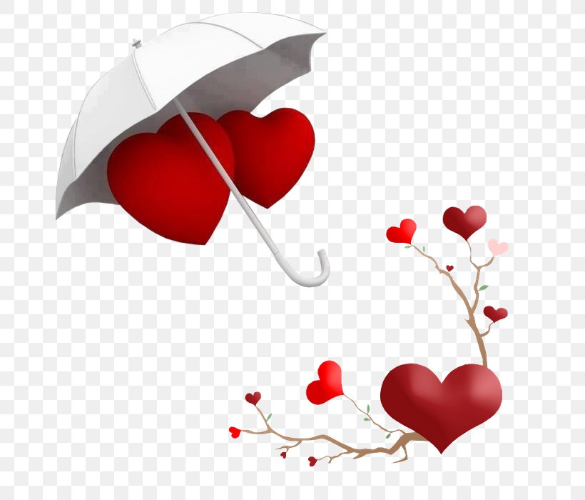 Valentine's Day Heart, PNG, 700x700px, Valentine S Day, Animation, Flower, Gift, Heart Download Free