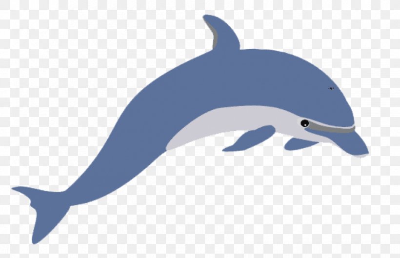 Clip Art Openclipart Common Bottlenose Dolphin Desktop Wallpaper, PNG, 850x549px, Dolphin, Beak, Bottlenose Dolphin, Common Bottlenose Dolphin, Fauna Download Free
