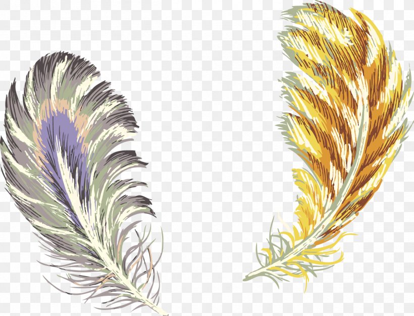 Feather Clip Art, PNG, 1308x999px, Feather, Color, Grass Family, Orange, Paintbrush Download Free
