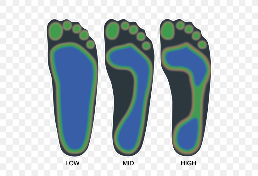 Fußtyp Foot Senkfuß January Shoe, PNG, 560x560px, 2018, Foot, Anatomy, Aqua, Bild Download Free