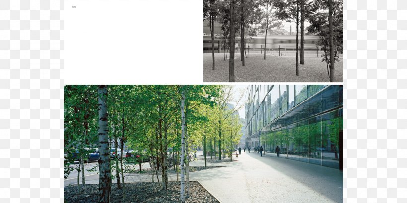 Landscape Architecture Magnifying Glass And Binoculars, PNG, 1280x640px, Landscape Architect, Building, Glass, Grass, Herzog And De Meuron Download Free