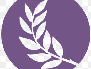Olive - Olive Branch Church Logo Symbol PNG