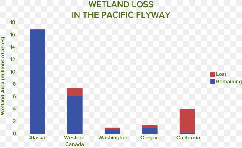 Wetlands International Water Bird California Percentage, PNG, 1036x635px, Wetland, Area, Brand, California, Chart Download Free