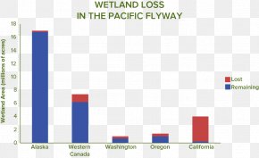 Waterbirds - Wetlands International Water Bird California Percentage PNG