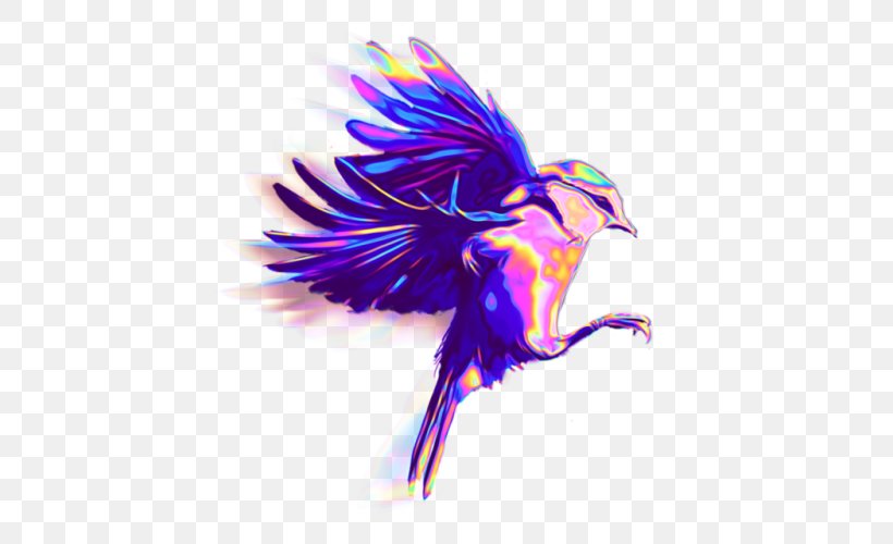 Bird Beak Desktop Wallpaper Clip Art Illustration, PNG, 500x500px, Bird, Animal, Art, Beak, Feather Download Free
