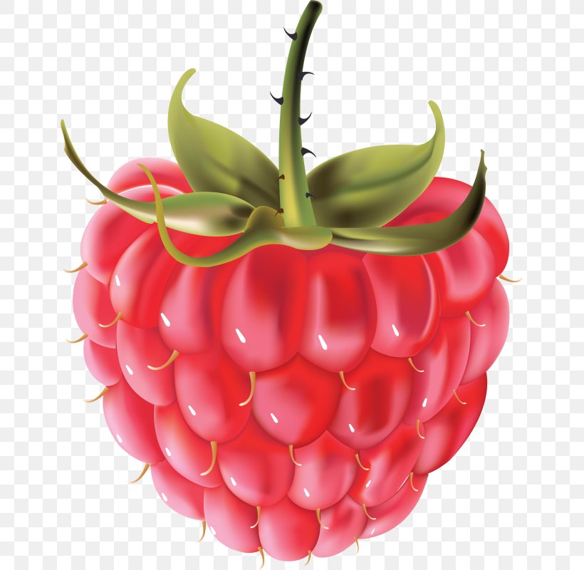 Clip Art Image JPEG Desktop Wallpaper, PNG, 649x800px, Drawing, Accessory Fruit, Berry, Food, Fruit Download Free