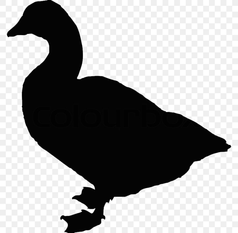 Duck Bird Goose Silhouette, PNG, 772x800px, Duck, Beak, Bird, Black And White, Black Swan Download Free