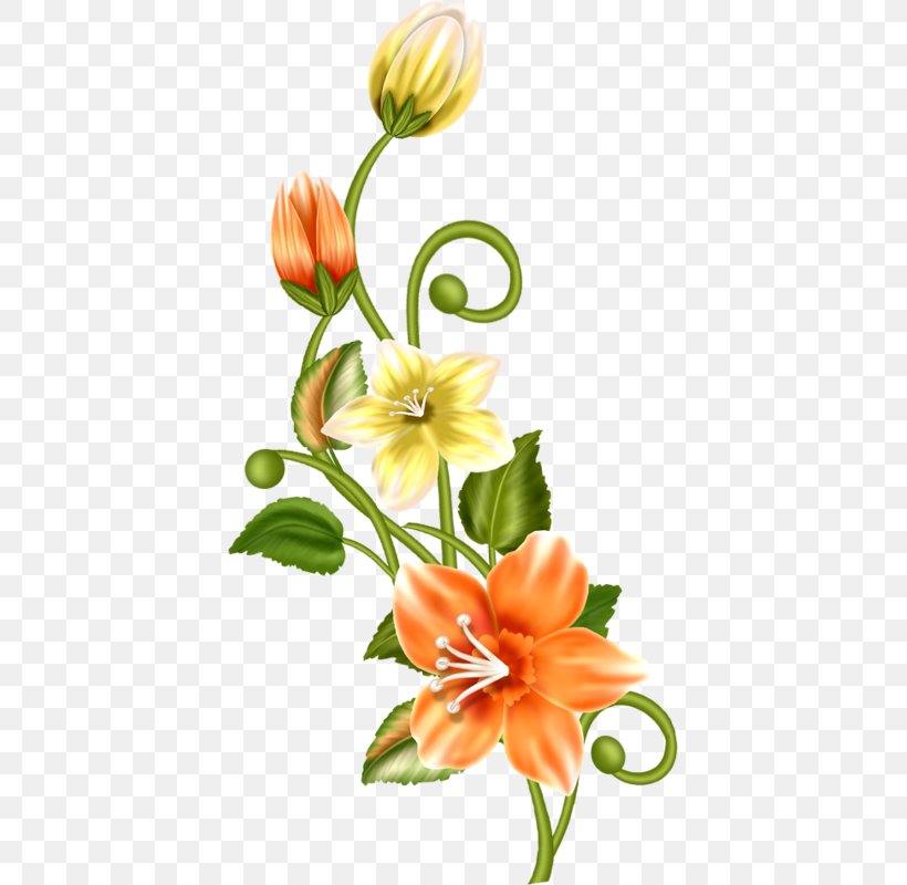 Floral Design Cut Flowers Flower Bouquet Image, PNG, 407x800px, Floral Design, Cut Flowers, Floristry, Flower, Flower Arranging Download Free
