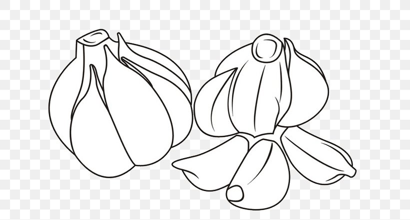 Garlic Vegetable Food Allium Fistulosum, PNG, 708x441px, Garlic, Allium Fistulosum, Area, Artwork, Black And White Download Free