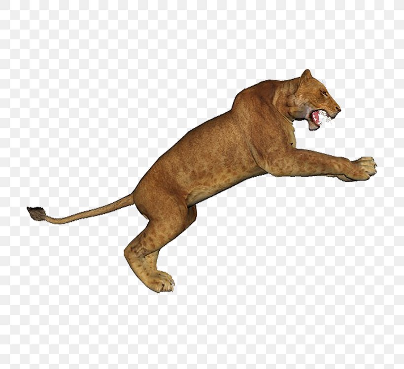 Lion, PNG, 750x750px, Lion, Animal, Animal Figure, Big Cat, Big Cats Download Free