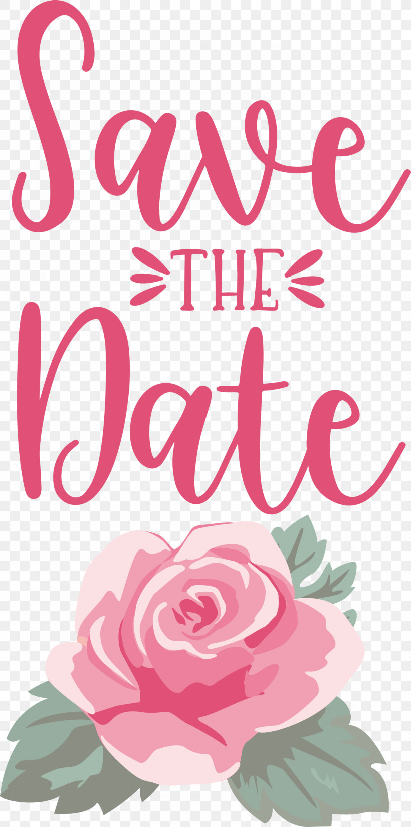 Save The Date Wedding, PNG, 1490x3000px, Save The Date, Cut Flowers, Floral Design, Flower, Garden Download Free