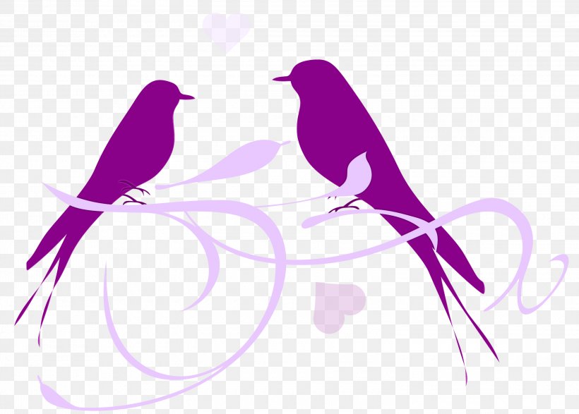 Violet Purple Bird Branch Silhouette, PNG, 3000x2148px, Watercolor, Beak, Bird, Branch, Magenta Download Free