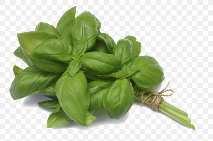 Basil Pesto Caprese Salad Panzanella Tom Yum, PNG, 1200x800px, Basil, Caprese Salad, Cooking, Flavor, Food Download Free