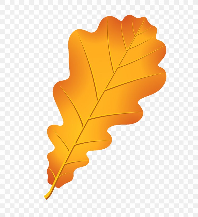 Oak Autumn Leaf Color Acorn Drawing, PNG, 1217x1331px, Oak, Acorn, Autumn, Autumn Leaf Color, Drawing Download Free