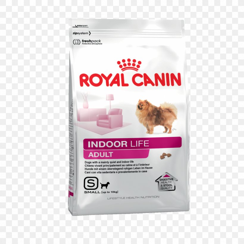 Puppy Royal Canin Chihuahua Dog Food Horse, PNG, 1000x1000px, Puppy, Breed, Chihuahua, Dog, Dog Food Download Free