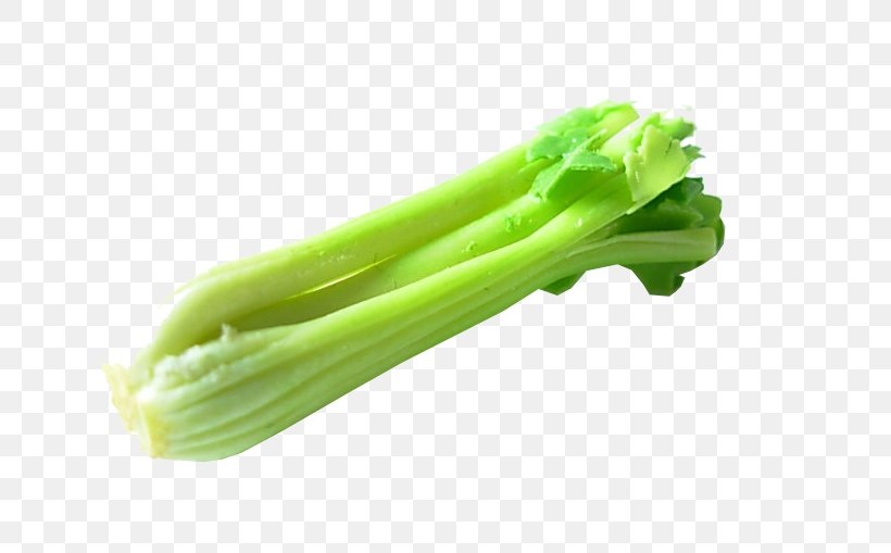 Celery Plant Stem Vegetable Celeriac Smoothie, PNG, 676x509px, Celery, Beer, Broccoli, Celeriac, Celtuce Download Free